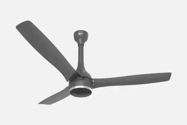 Ceiling Fan